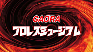 GAORAプロレスミュージアム