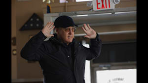 「ブラックリスト」シリーズ ブラックリスト シーズン8 第13話 アン