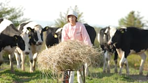 【全11話パック】牛に願いを Love＆Farm