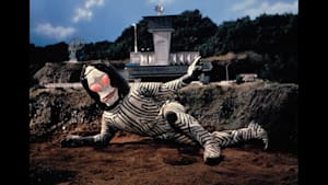 第28話 人間標本5・6