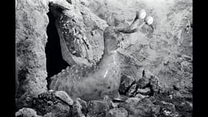 ウルトラQ 第3話 宇宙からの贈りもの