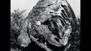 ウルトラQ 第7話 SOS富士山