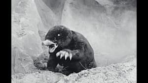 ウルトラQ 第8話 甘い蜜の恐怖