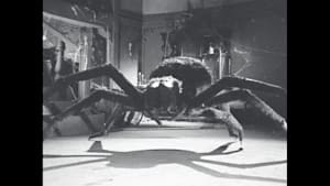 ウルトラQ 第9話 クモ男爵