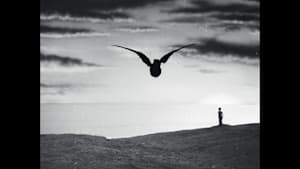 ウルトラQ 第12話 鳥を見た