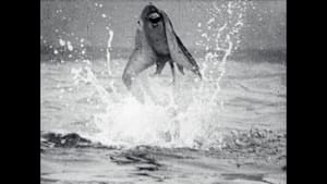 ウルトラQ 第21話 宇宙指令M774