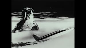 ウルトラQ 第27話 206便消滅す