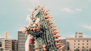 第12話 サボテン地獄の赤い花