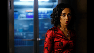 エージェント・オブ・シールド シーズン1 第18話 逃亡