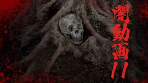 闇動画11 恐怖の心霊怪奇映像集