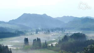 ＥＴＶ特集　たんぼ物語　限界集落で究極の酒造りを！秋田鵜養