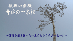 【震災アーカイブ】奇跡の一本松（550円）