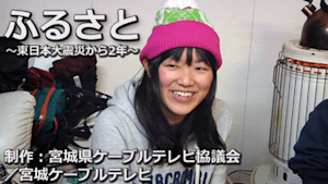 【震災アーカイブ】「ふるさと-東日本大震災から2年-」（1,100円）