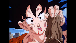 第239話 ビーデルたちの奮闘！探せ神龍球