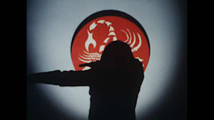 仮面ライダーV3 第48話 見た！デストロン首領の顔！！