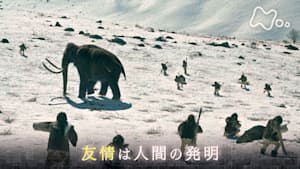 ヒューマニエンス　４０億年のたくらみ　“友情”　集団で生きるための発明