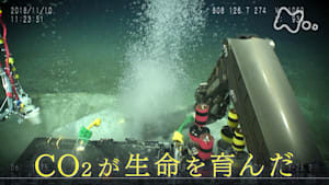 ヒューマニエンス　４０億年のたくらみ　“ＣＯ２”　見えざる生命の創造者