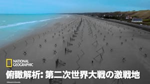 俯瞰解析：第二次世界大戦の激戦地