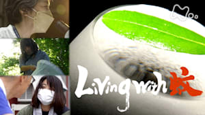 ドキュメント２０ｍｉｎ．　Ｌｉｖｉｎｇ　ｗｉｔｈ　蚊