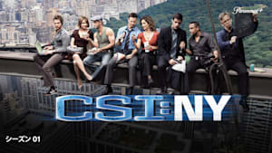 CSI：ニューヨーク