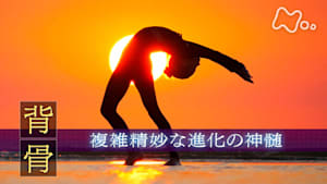 ヒューマニエンス　４０億年のたくらみ　“背骨”　複雑精妙な進化の神髄