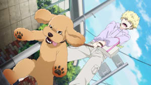 ドッグシグナル 第1話 共倒れなボクら