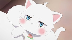 新しい上司はど天然 5話目 目からはちみつ！