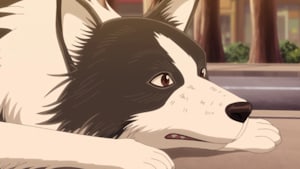 ドッグシグナル 第4話 回る犬