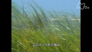 みんなのうた　さとうきび畑