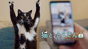 猫と、とうさん