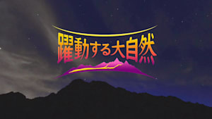 躍動する大自然　奇跡の絶景ストーリー