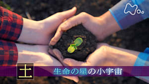 ヒューマニエンス　４０億年のたくらみ　“土”　生命の星の小宇宙