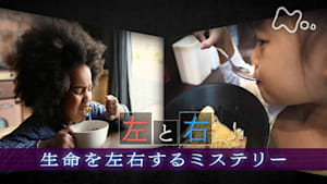 ヒューマニエンス　４０億年のたくらみ　“左と右”　生命を左右するミステリー