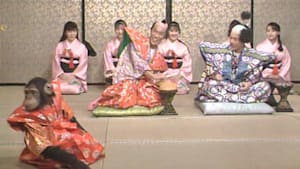 J:COM STREAM 視聴サイト