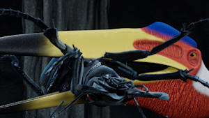 第5話 【スペシャルマッチ】ケツァルコアトルス VS オオエンマハンミョウ