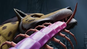 第8話 【スペシャルマッチ】アンドリューサルクス VS ペルビアンジャイアントオオムカデ