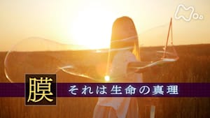 ヒューマニエンス　４０億年のたくらみ　“膜”　それは生命の真理