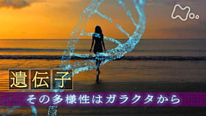 ヒューマニエンス　４０億年のたくらみ　“遺伝子”　その多様性はガラクタから