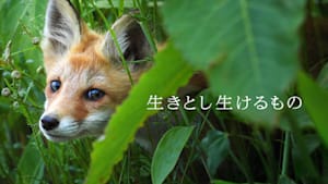 生きとし生けるもの