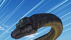 第21話 【レギュラーマッチ】アルゼンチノサウルス VS オオエンマハンミョウ