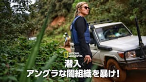 潜入：アングラな闇組織を暴け！