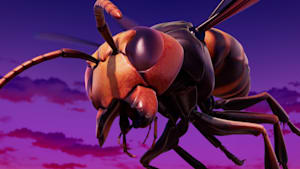 第22話 【レギュラーマッチ】オオスズメバチ VS キリン