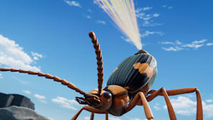 第31話 【レギュラーマッチ】オオスズメバチ VS ミイデラゴミムシ