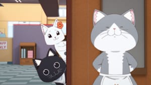 ラーメン赤猫 六杯目 気になる／気になっちゃう／なじみなじむ