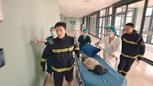 消せない初恋 第14話 勇気ある決断