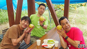 「東野・岡村の旅猿 -プライベートでごめんなさい…」シリーズ 東野・岡村の旅猿26 ～プライベートでごめんなさい… 「黒田プロデュース 鳥取県の旅」第1話