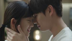 ピュア・ラブ ～運命に導かれた二人～ ＃12 「本当に大切なもの」