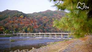 究極ガイド　２時間でまわる☆☆☆　２時間でまわる嵐山