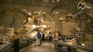 究極ガイド　２時間でまわる☆☆☆　２時間でまわる国立科学博物館