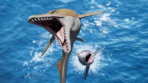 第47話 【エキシビションマッチ】モササウルス VS メガロドン